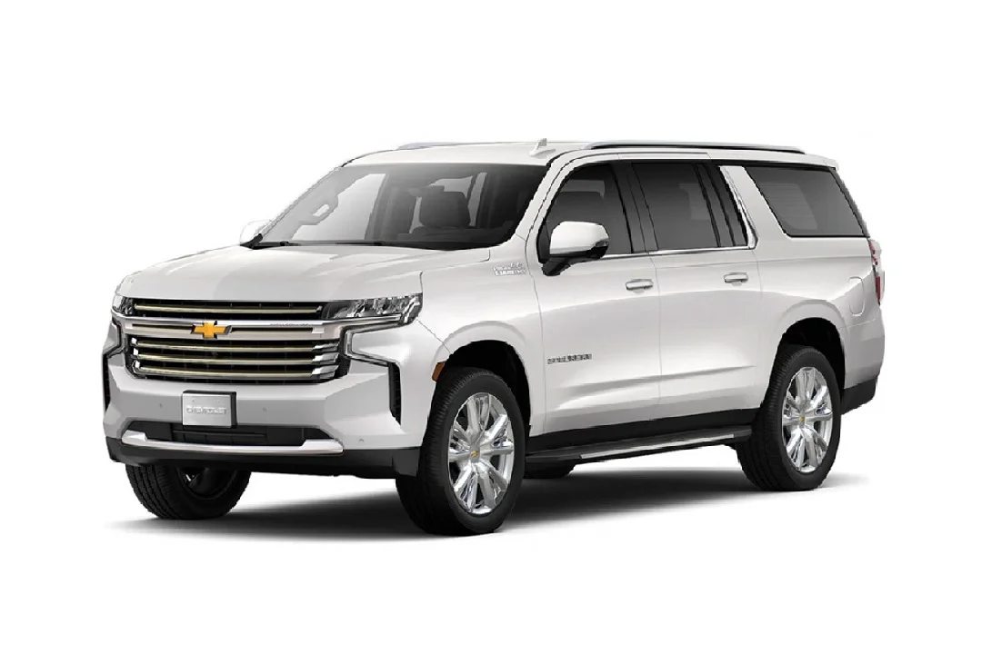 Seguridad y Confort VIP Vallarta